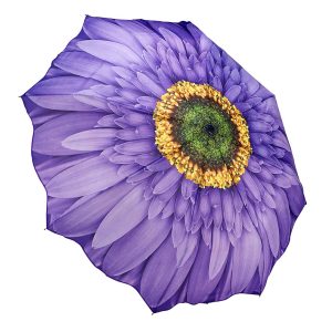 Galleria Folding Umbrella Wisteria Daisy